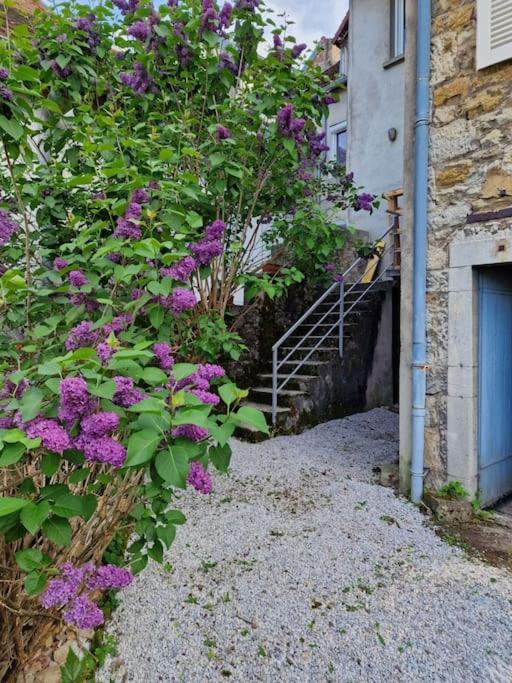 Le Lynx Boreal, Centre Historique Avec Jardin Lons-le-Saunier Exterior photo